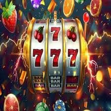 playfulbet Bingo